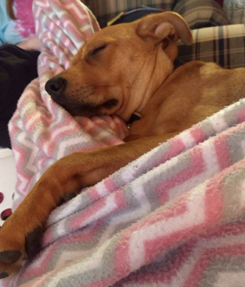 Malcolm is enjoying a nap!